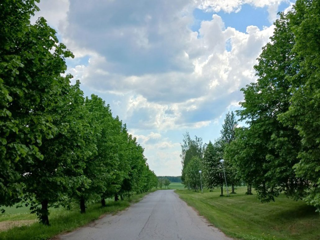Kesäinen kuva Kankaanpään A-kodin johtavalta tieltä.